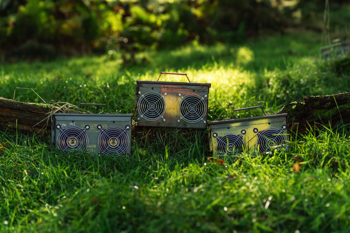 Three bluetooth ammo box speakers in the grass under some trees